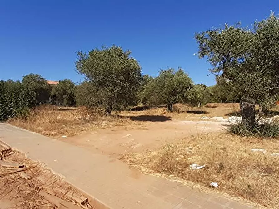 Immagine 1 di Lotti in vendita  in Via Milano snc a Sassari