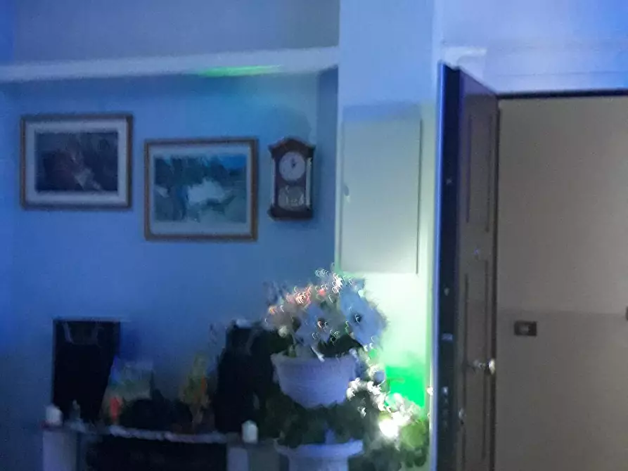 Immagine 6 di Affittacamere in affitto  a Trieste