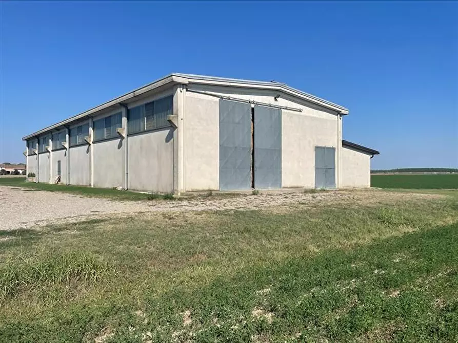 Immagine 1 di Terreno agricolo in vendita  in torricella a Sissa Trecasali