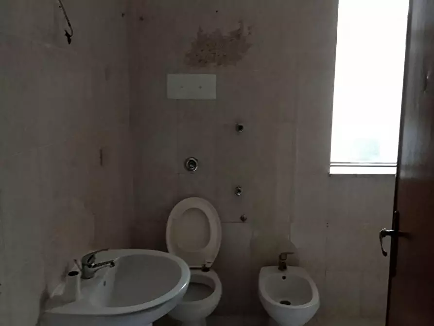 Immagine 11 di Abitazione tipica in affitto  a Palermo