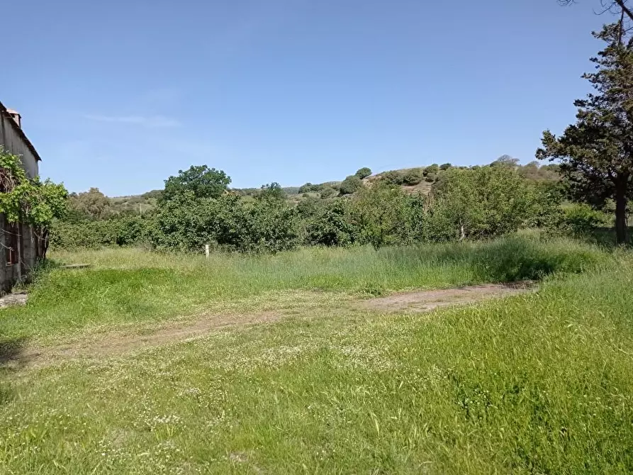 Immagine 16 di Terreno agricolo in vendita  in Matta e Padru snc a Bonorva