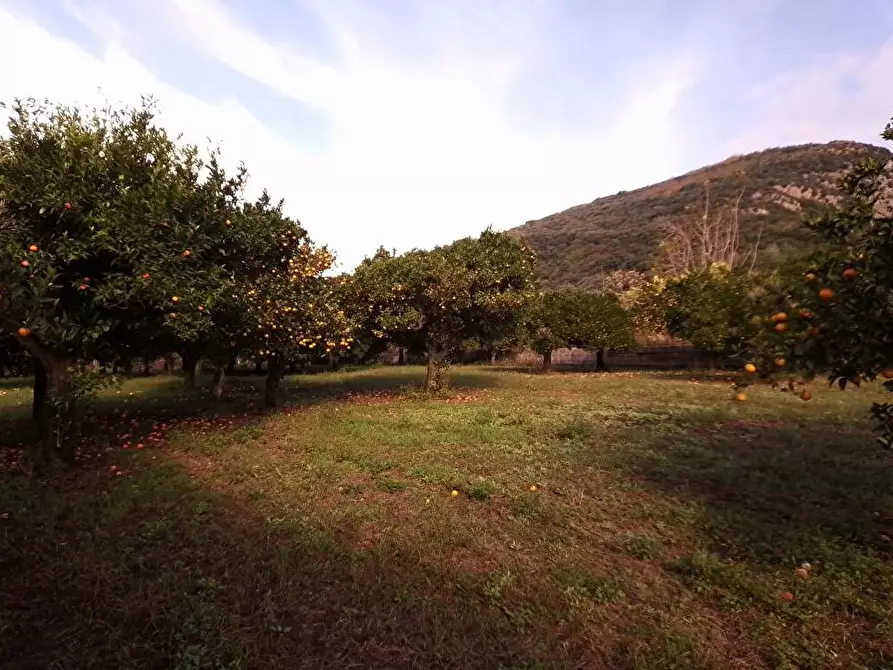 Immagine 6 di Terreno in vendita  in Via Mura D'Arci 1 a Sarno