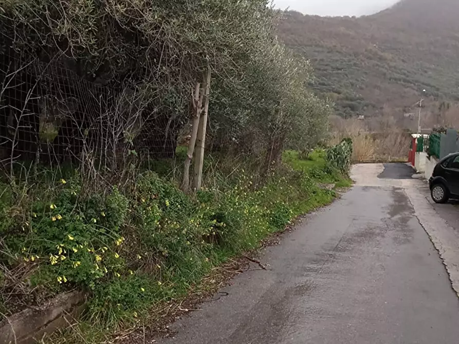 Immagine 3 di Terreno agricolo in vendita  in Via VillaVenere 1 a Sarno