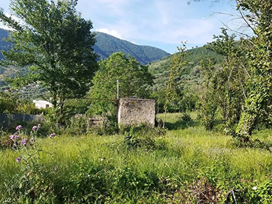 Immagine 9 di Terreno agricolo in vendita  in Via Sant'Eramo 2 a Sarno