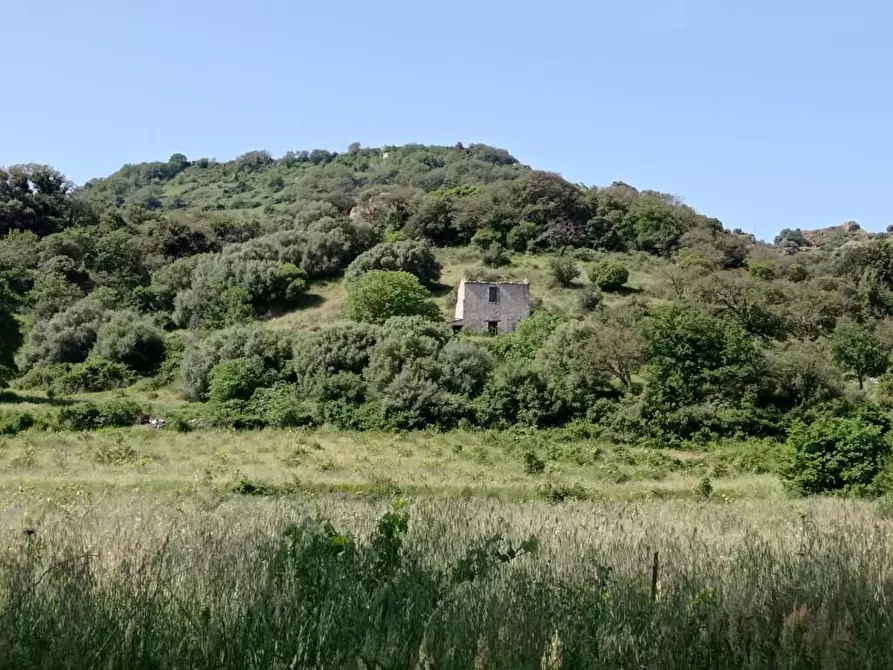 Immagine 6 di Terreno agricolo in vendita  in Matta e Padru snc a Bonorva