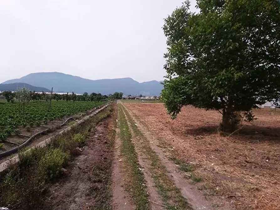 Immagine 5 di Terreno agricolo in vendita  in Via Astone 1 a Sarno