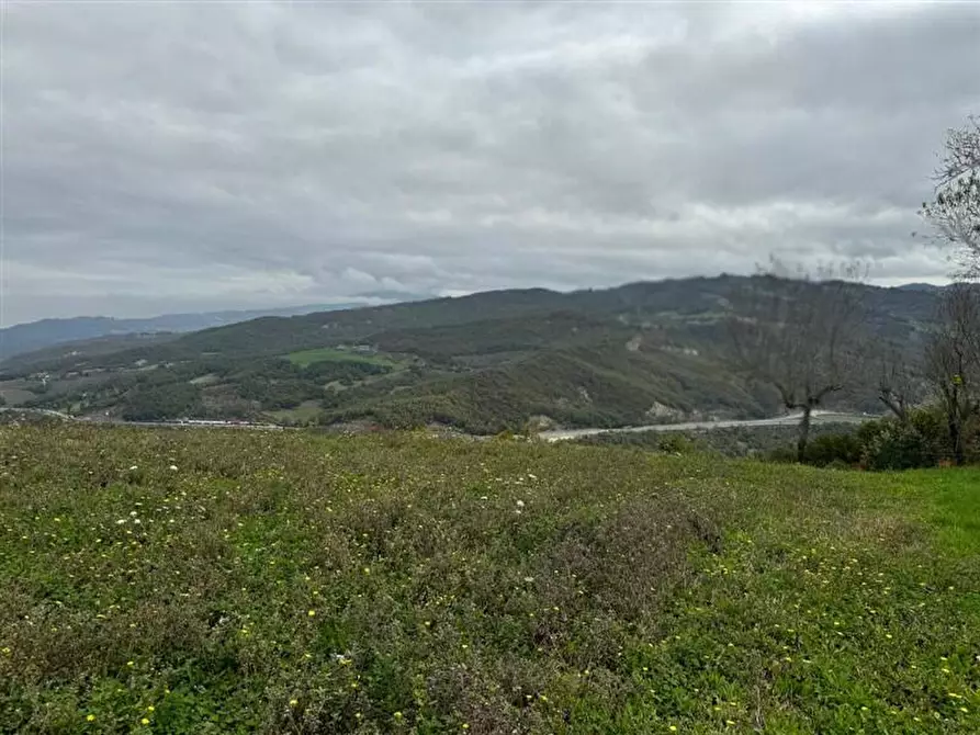 Immagine 20 di Rustico / casale in vendita  in ossella 8 a Valmozzola