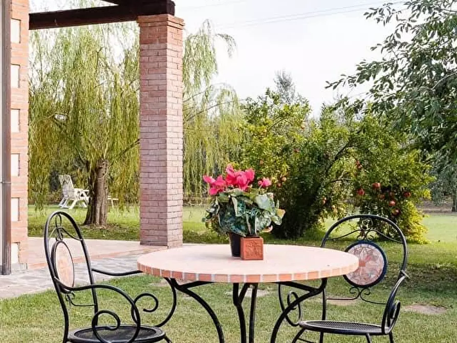 Immagine 14 di Appartamento in affitto  a Grosseto