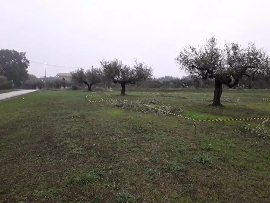 Immagine 3 di Terreno edificabile in vendita  in Via Faresi a Cepagatti