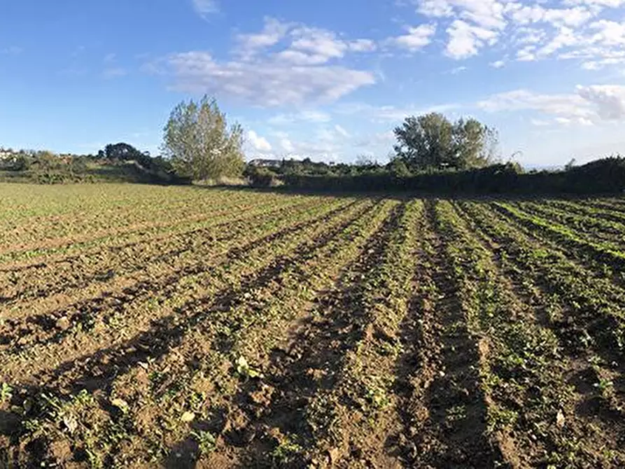 Immagine 10 di Stabile in vendita  in Via Cigliano snc a Pozzuoli