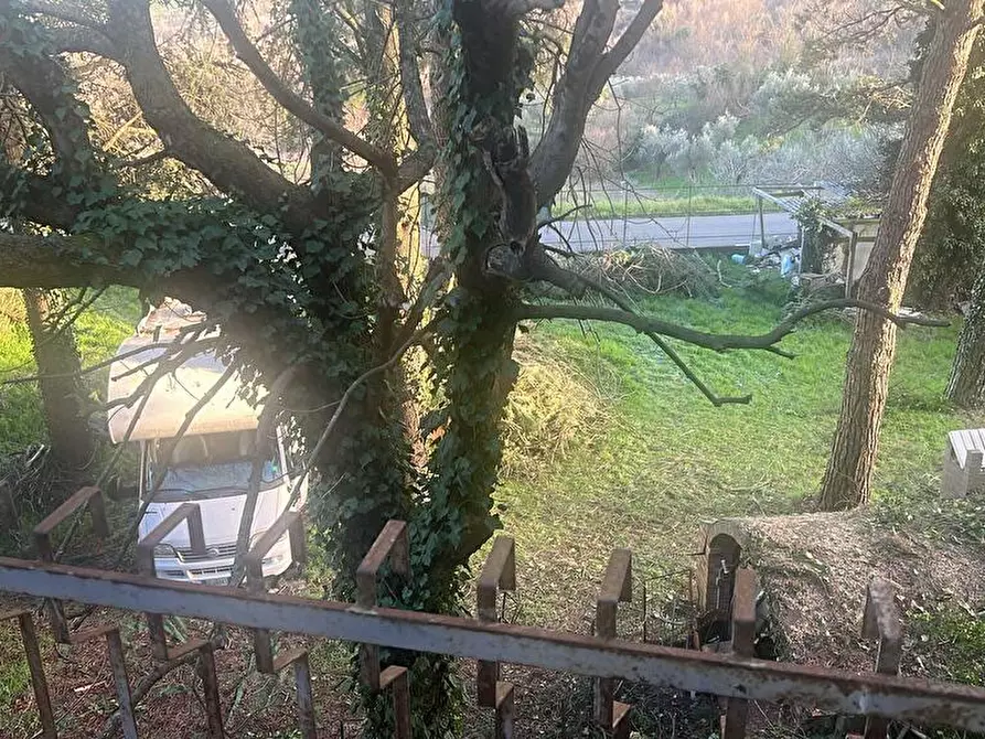 Immagine 3 di Albergo/B&B/Residence in affitto  in via roma 69 a Castel Viscardo