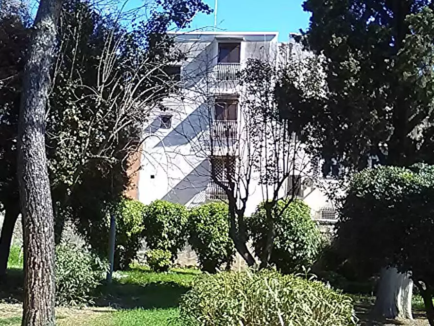 Immagine 1 di Palazzo in vendita  in via gorizia 42 a Barletta