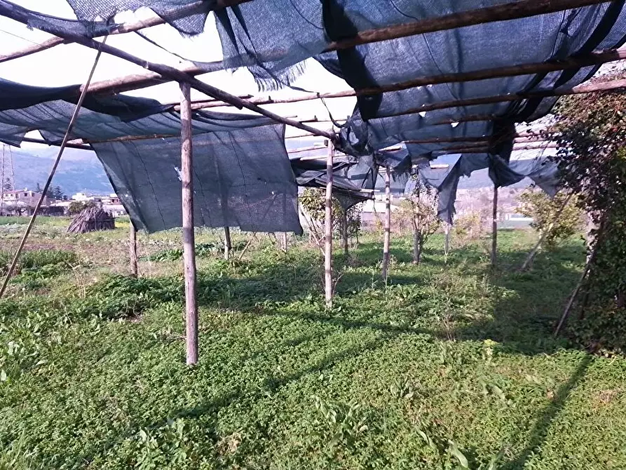 Immagine 7 di Terreno agricolo in vendita  in Via Masseria Pigliuocco 1 a Sarno