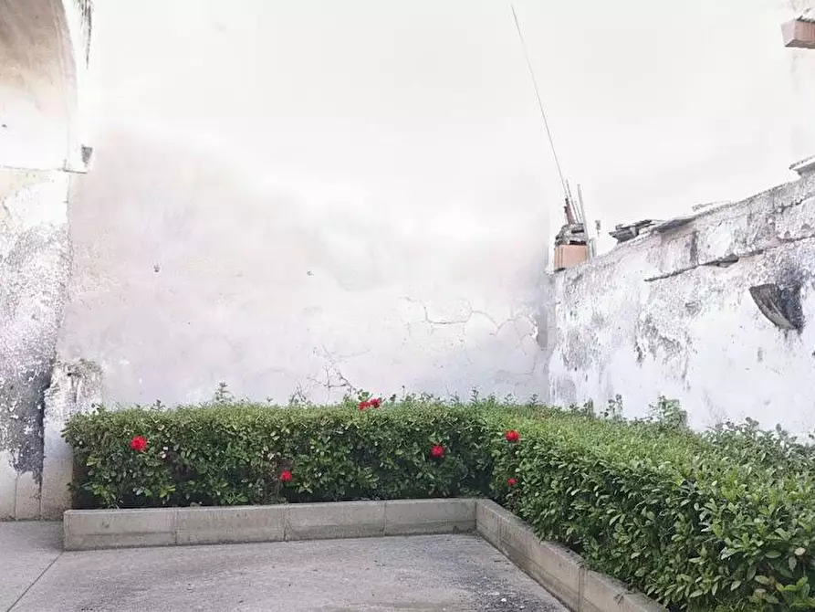 Immagine 5 di Casa indipendente in vendita  in Via Vittorio Veneto 4 a San Giorgio Ionico