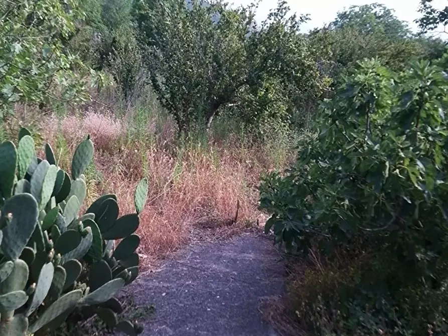 Immagine 7 di Terreno agricolo in vendita  in Via Sant'Eramo 10 a Sarno