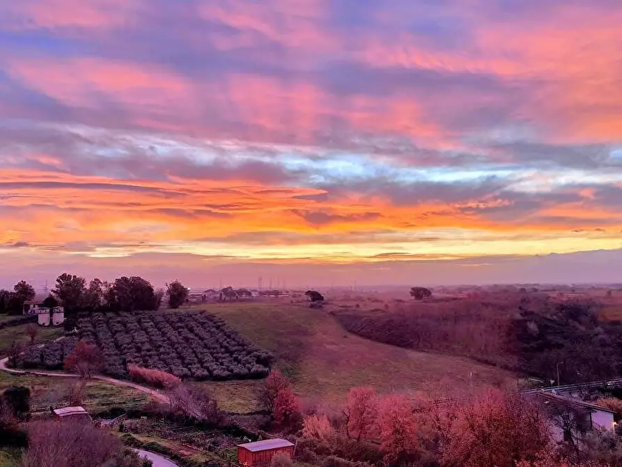Immagine 5 di Attico in vendita  a Roma
