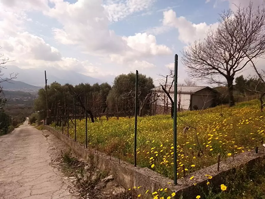 Immagine 5 di Terreno agricolo in vendita  in Via Bracigliano 1 a Sarno