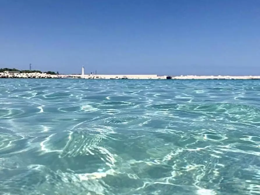 Immagine 3 di Casa vacanze in affitto  a San Vito Lo Capo
