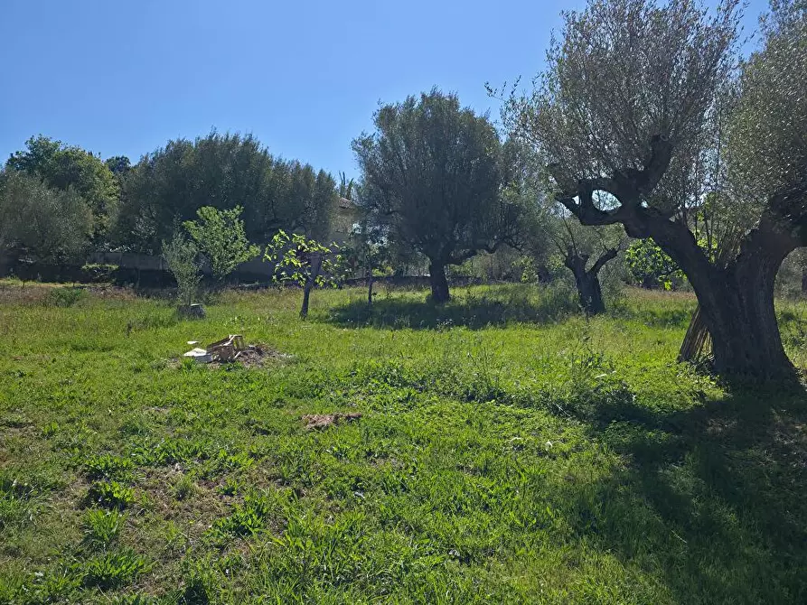 Immagine 4 di Casa indipendente in vendita  in via Olivelle 2 a Ascea