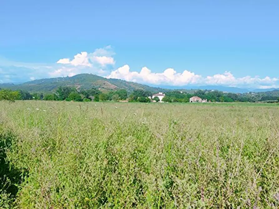 Immagine 2 di Terreno edificabile in vendita  a Casal Velino