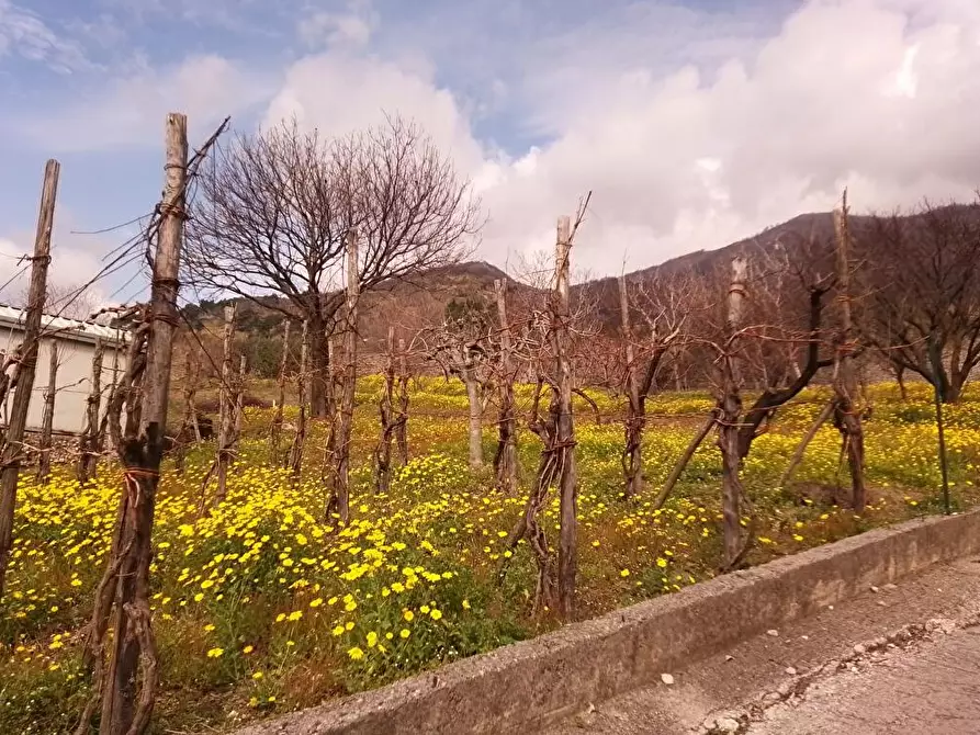 Immagine 7 di Terreno agricolo in vendita  in Via Bracigliano 1 a Sarno