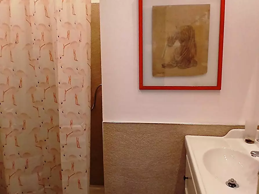 Immagine 3 di Abitazione tipica in affitto  in via mameli 25 a Viareggio