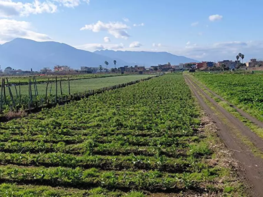 Immagine 1 di Terreno agricolo in vendita  in Via Londrone 1 a Sarno