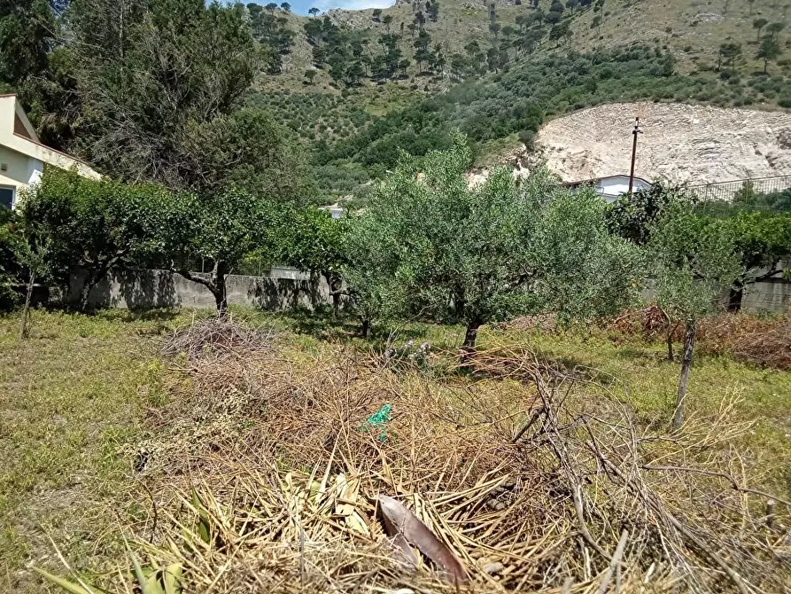 Immagine 2 di Terreno agricolo in vendita  in Via San Vito 1 a Sarno