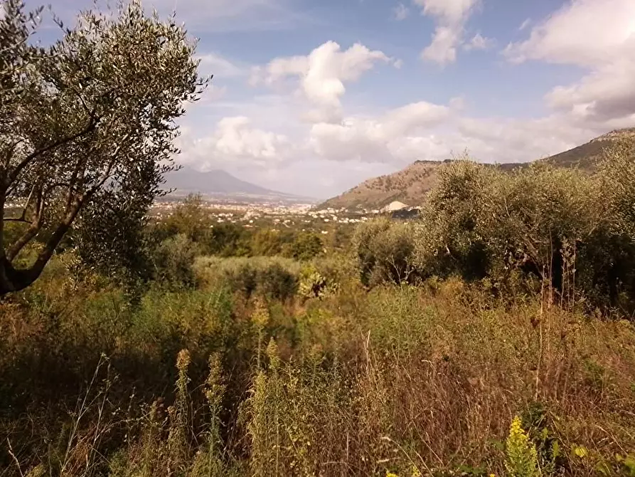 Immagine 6 di Terreno agricolo in vendita  in Via Sant'Eramo 1 a Sarno