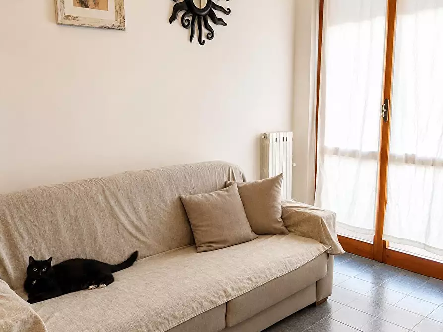 Immagine 6 di Appartamento in vendita  a Carrara