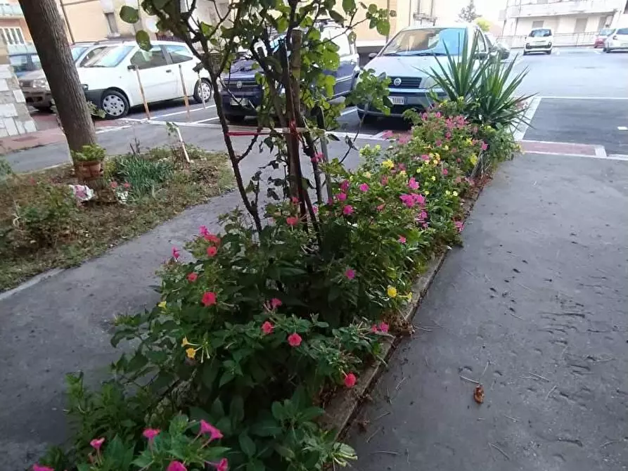 Immagine 6 di Appartamento in affitto  in Via Federico Salomone  100 a Chieti