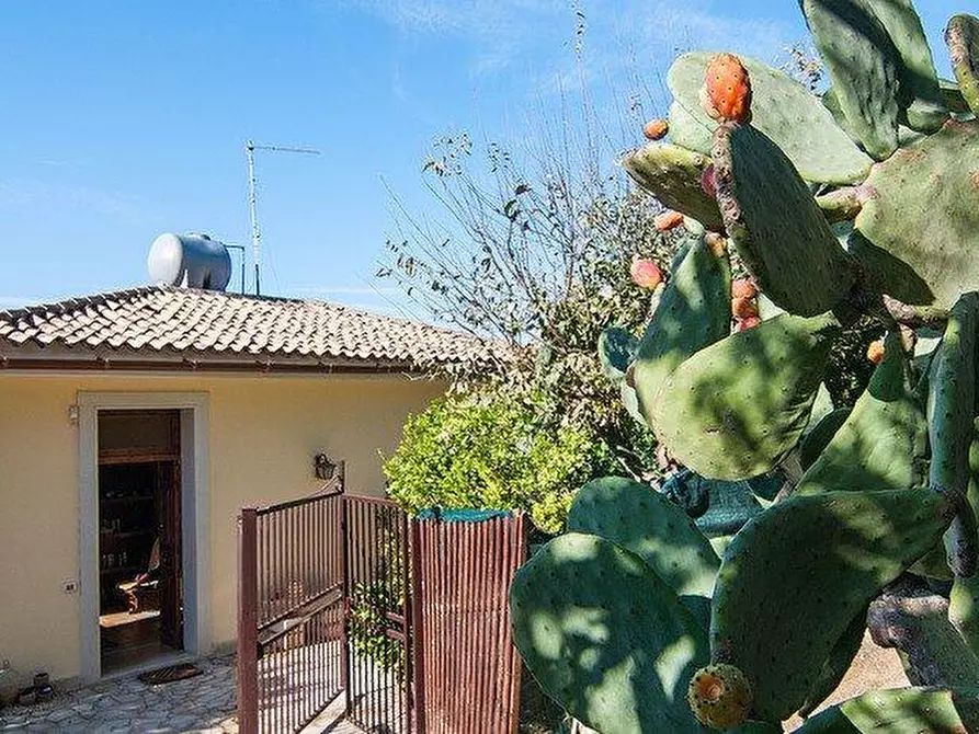 Immagine 33 di Casa vacanze in affitto  in CONTRADA LAUFI S.N a Noto