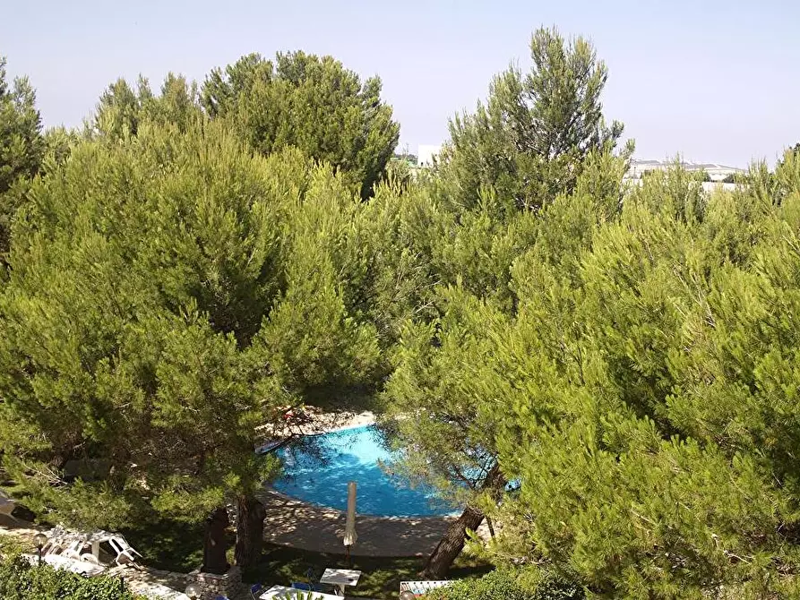 Immagine 8 di Albergo/B&B/Residence in vendita  in S.P. 65 Casamassima/Conversano km 3 km 3 a Casamassima