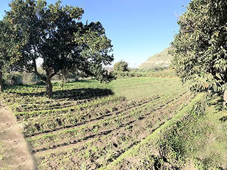 Immagine 3 di Stabile in vendita  in Via Cigliano snc a Pozzuoli