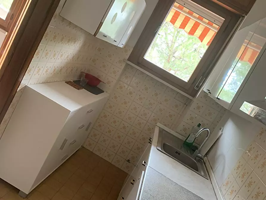 Immagine 4 di Affittacamere in affitto  a Urbino