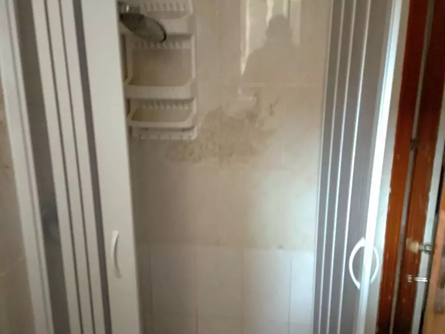 Immagine 12 di Abitazione tipica in affitto  a Palermo