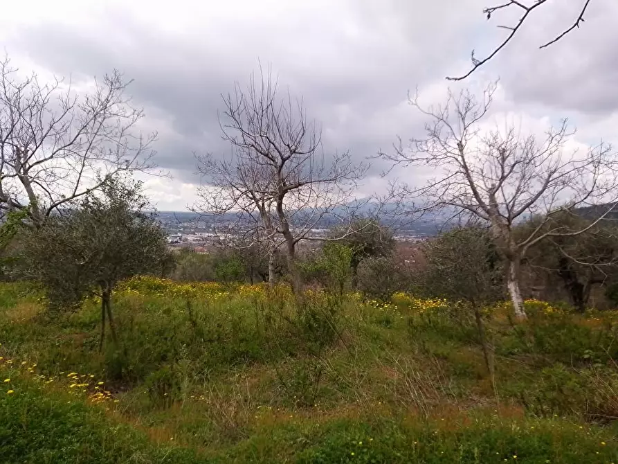 Immagine 5 di Terreno agricolo in vendita  in Via Curti 1 a Sarno