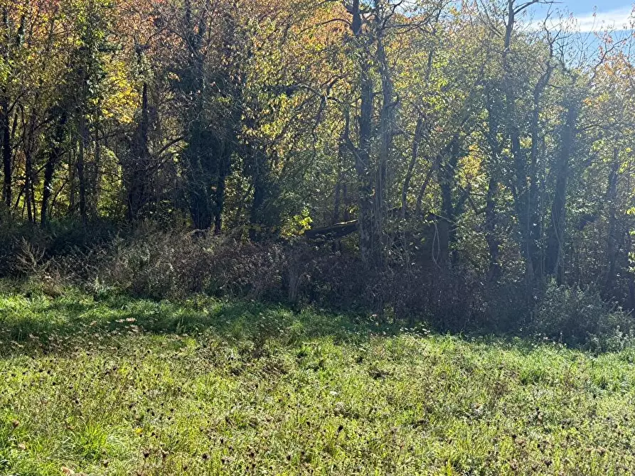 Immagine 15 di Rustico / casale in vendita  a Bardi