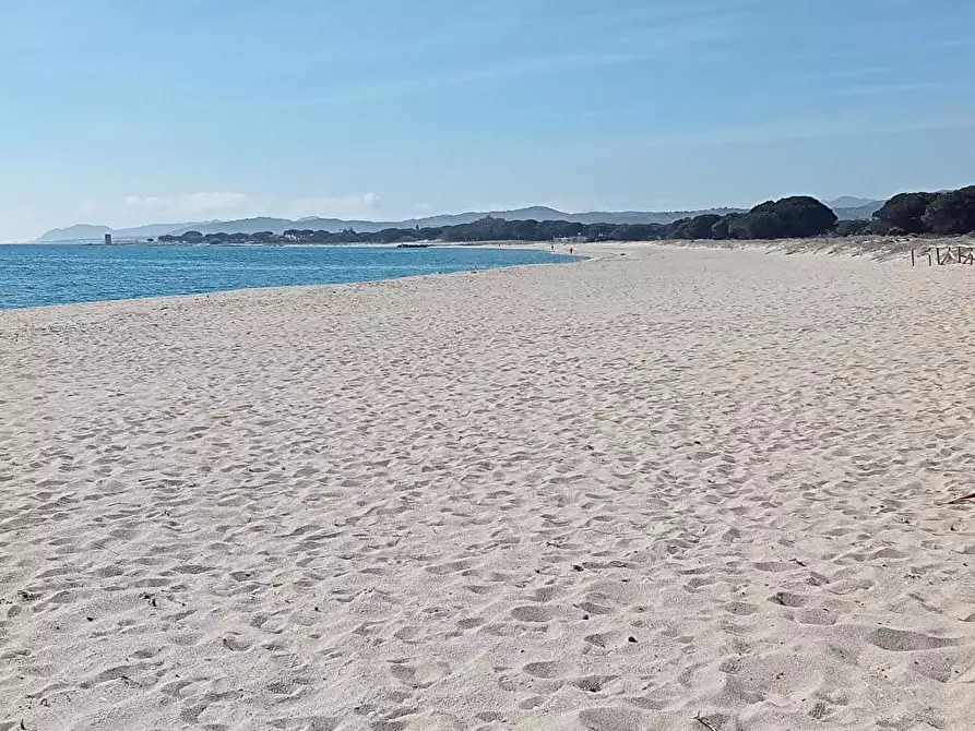 Immagine 8 di Appartamento in affitto  a Posada