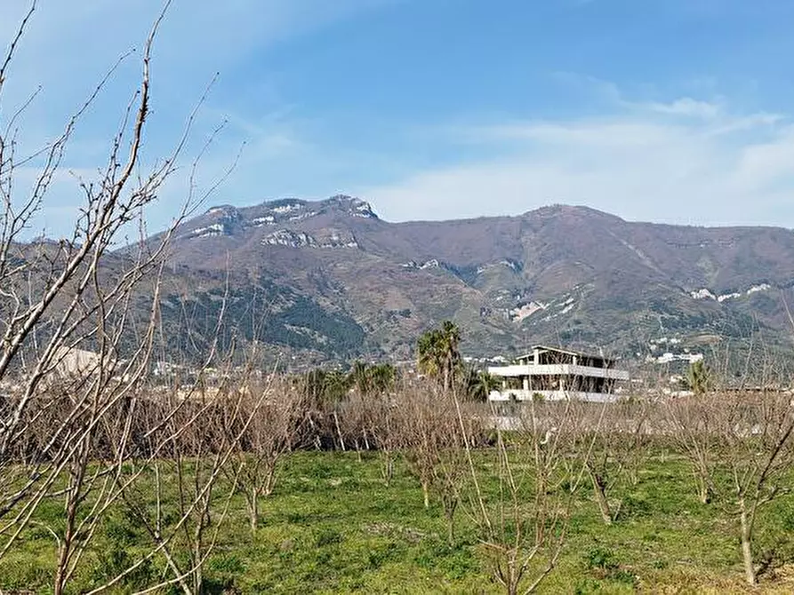 Immagine 1 di Terreno agricolo in vendita  in Via Santoiasso 14 a Sarno