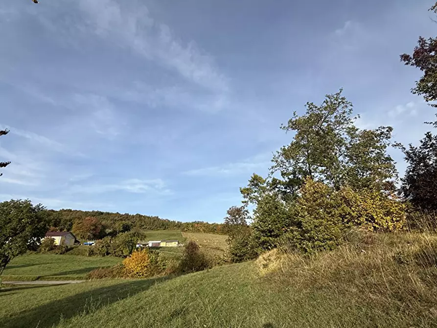 Immagine 16 di Casa indipendente in vendita  a Tizzano Val Parma
