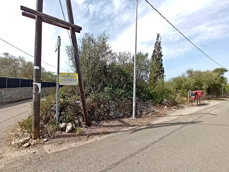 Immagine 4 di Terreno agricolo in vendita  in Li Curuneddi Tronco B snc a Sassari