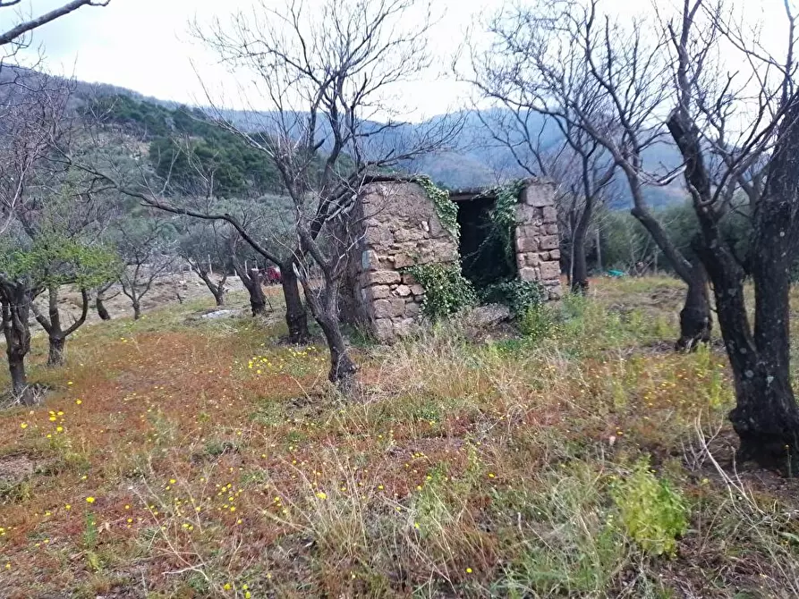 Immagine 3 di Terreno agricolo in vendita  in Via Bracigliano 1 a Sarno