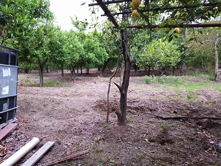 Immagine 10 di Terreno in vendita  in Via Sant'Eramo 10 a Sarno