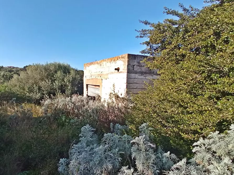 Immagine 5 di Magazzino in vendita  in SV San Quirico snc a Sassari