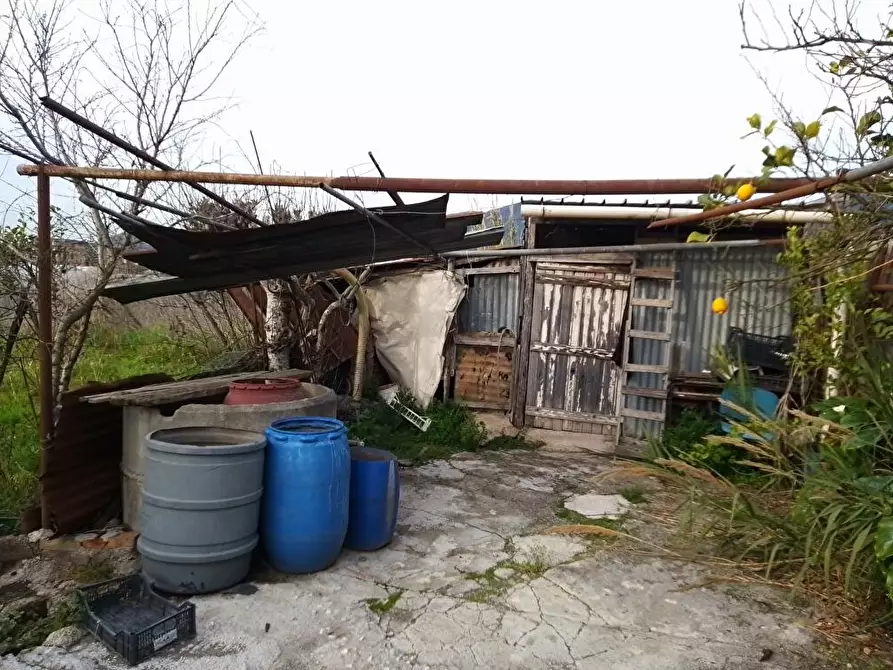 Immagine 3 di Terreno agricolo in vendita  in Via Cattaneo 1 a San Valentino Torio