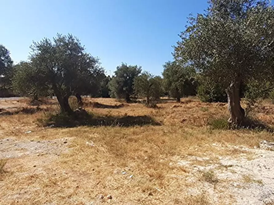 Immagine 9 di Lotti in vendita  in Via Milano snc a Sassari