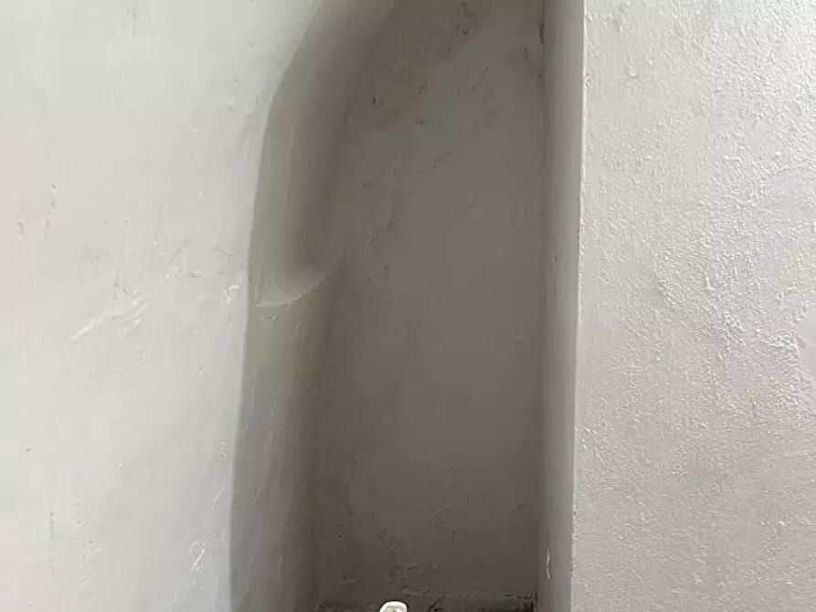 Immagine 4 di Cantina in affitto  a Roma