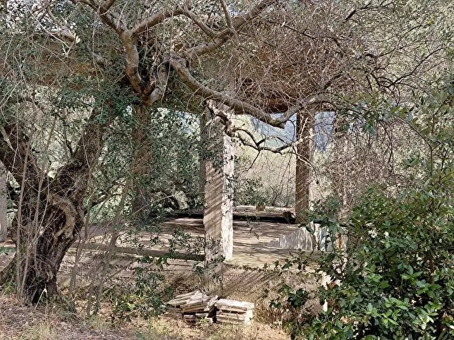 Immagine 1 di Terreno agricolo in vendita  in Via Bracigliano 1 a Sarno