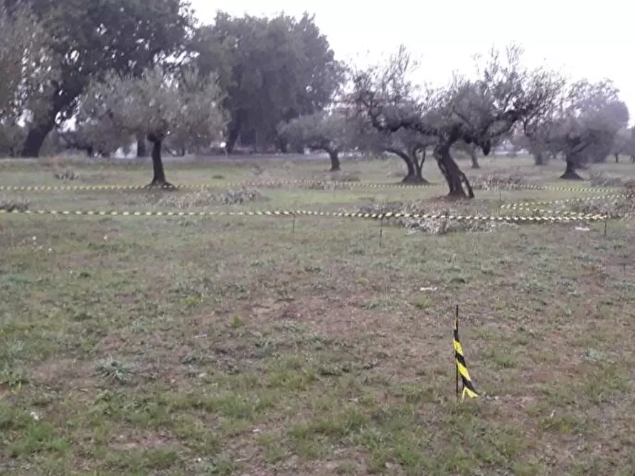 Immagine 12 di Terreno edificabile in vendita  in Via Faresi a Cepagatti